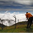 Madeira