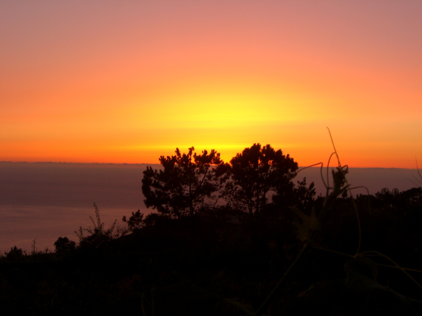 Madeira