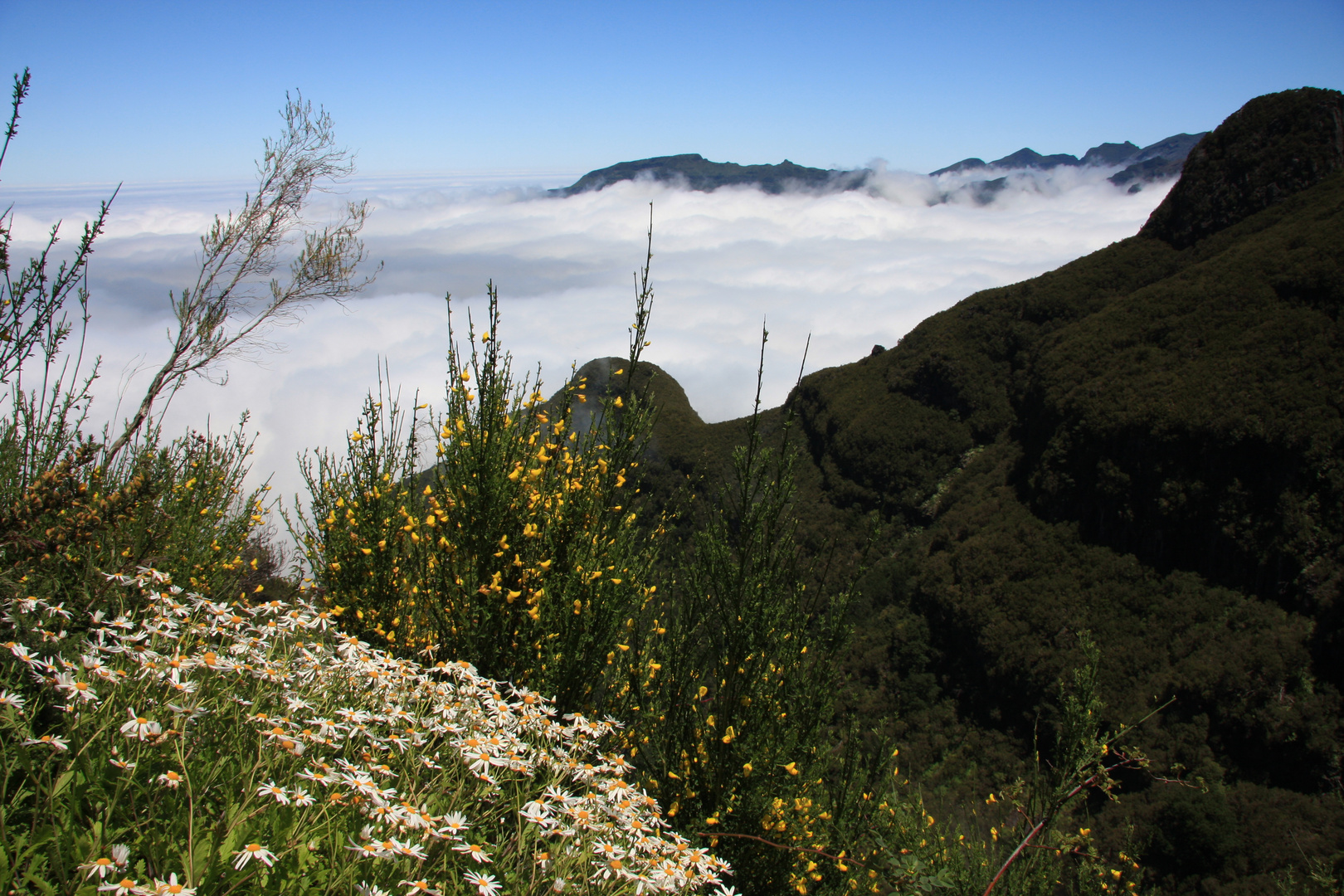 Madeira - Encumeada-Pass