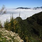 Madeira - Encumeada-Pass