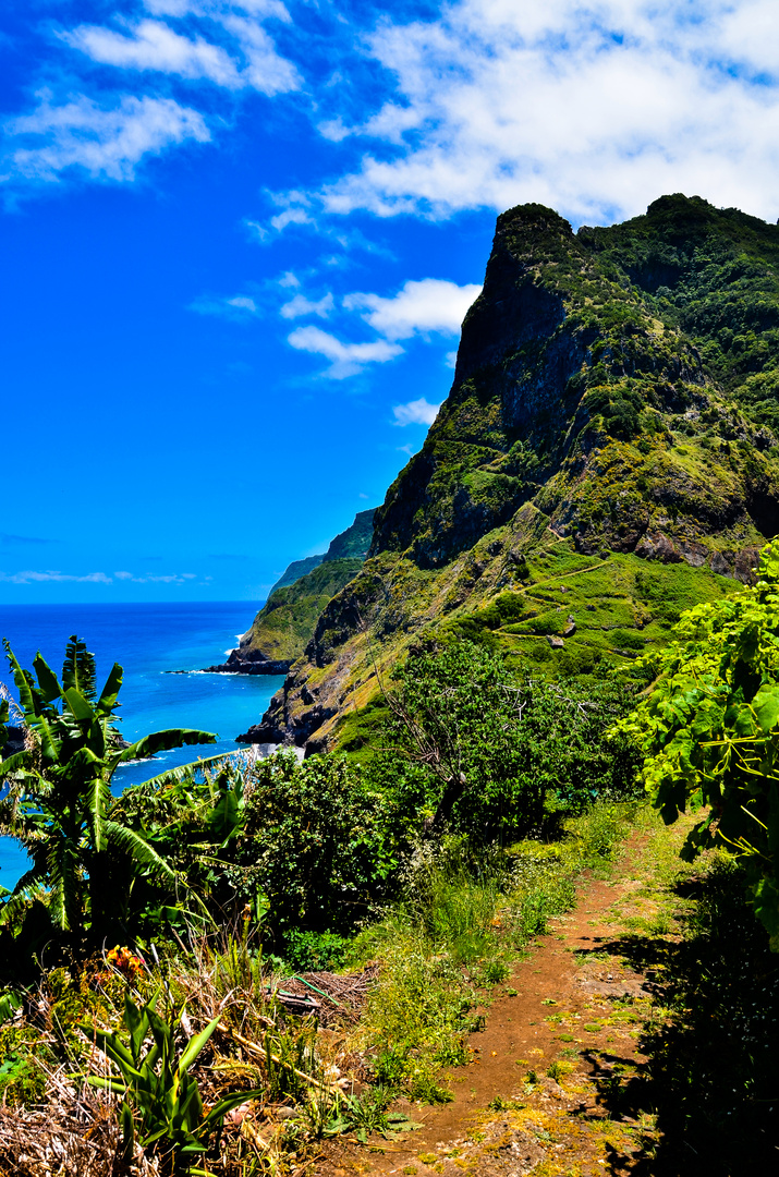 madeira