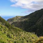 Madeira