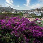 Madeira