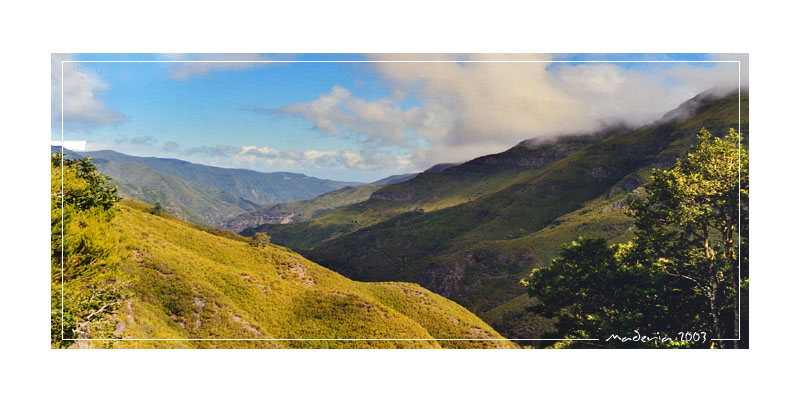 Madeira... for mum!