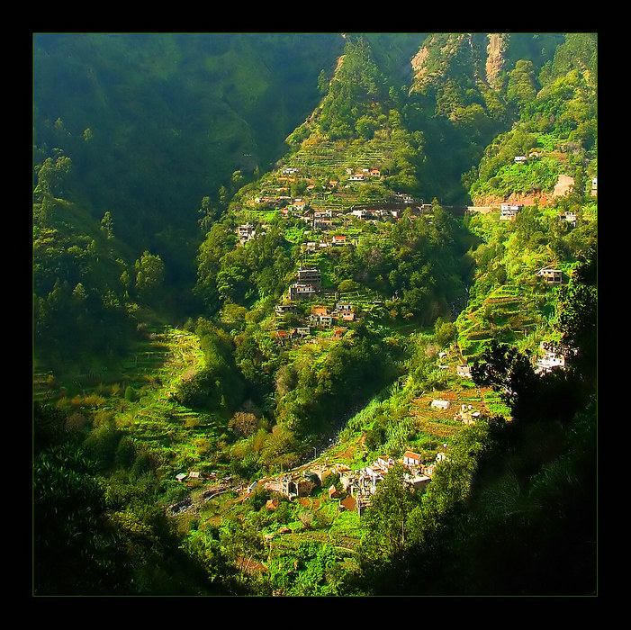 Madeira - für mich die grünste und schönste Insel ...