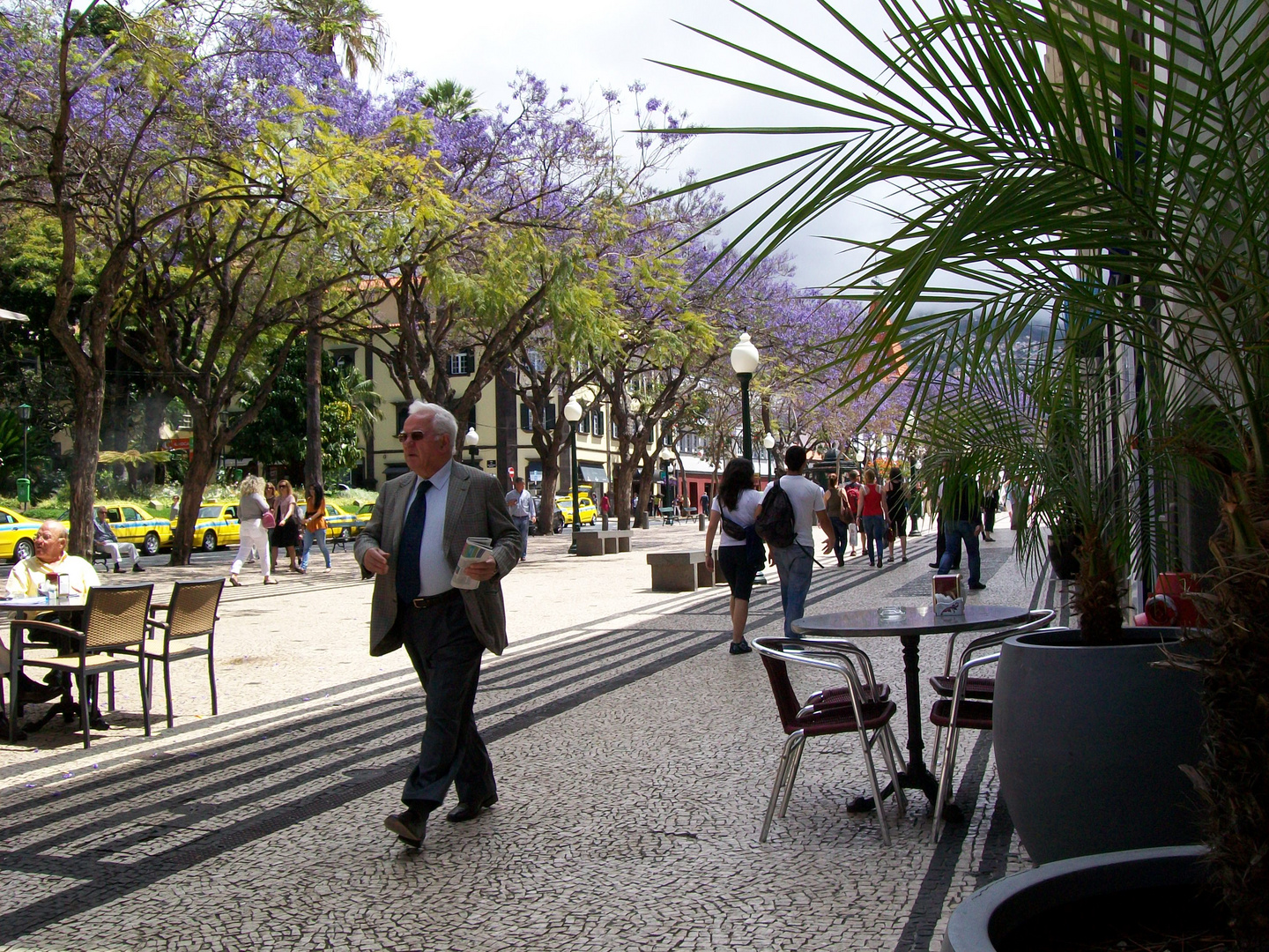 Madeira - Funchal / 05.2012