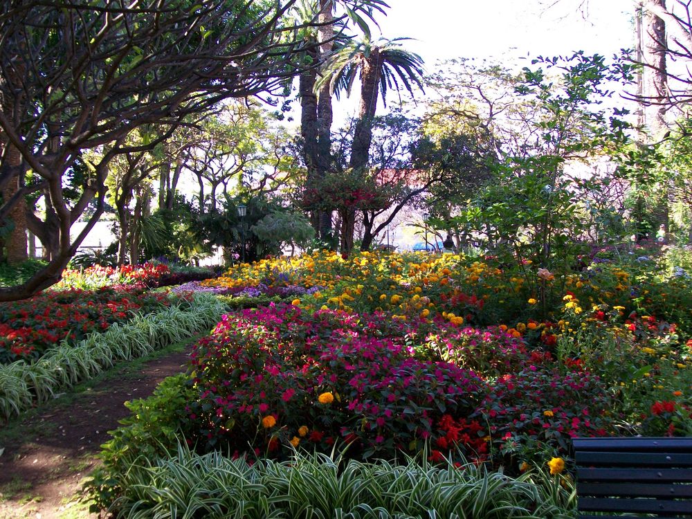 Madeira - Funchal / 05.2012