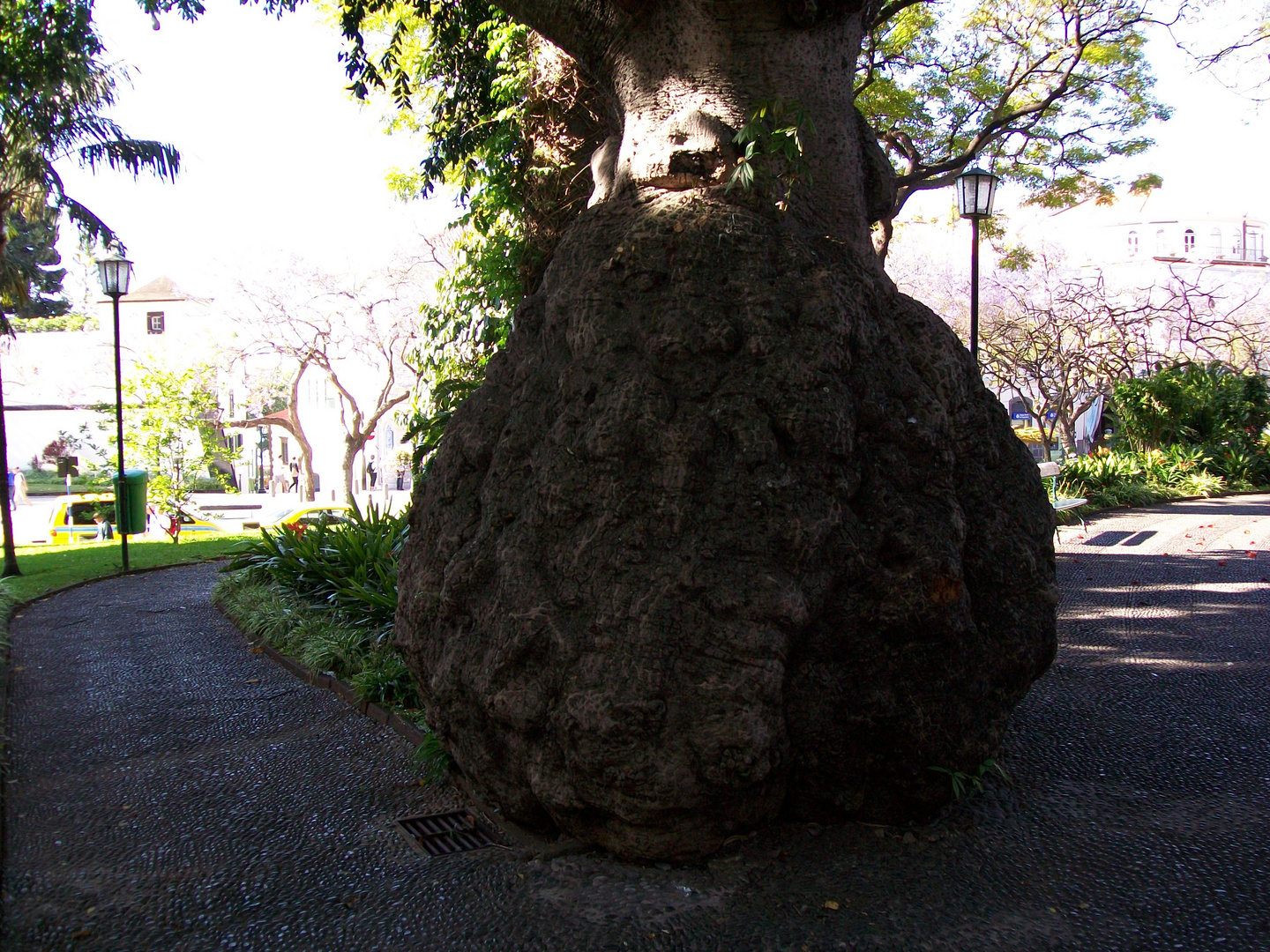 Madeira - Funchal / 05.2012