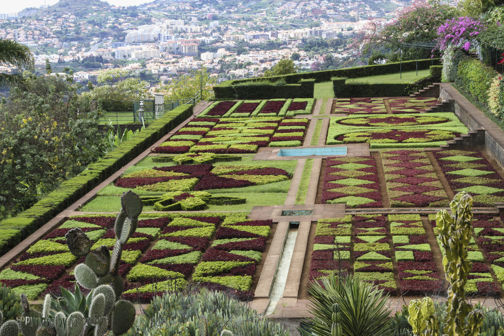  Madeira - Funchal - Botanischer Garten