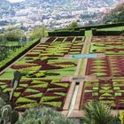  Madeira - Funchal - Botanischer Garten