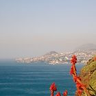 Madeira - Funchal