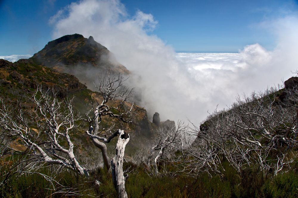 Madeira Gebirge