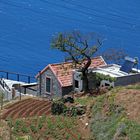 Madeira - Haus am Atlantic