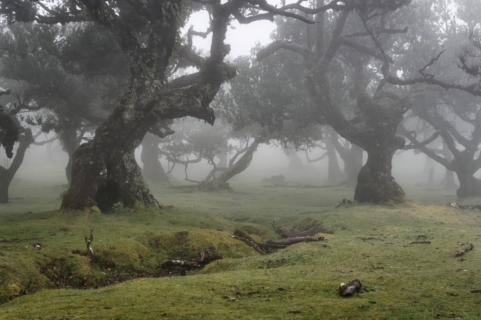 Madeira * Hidden World