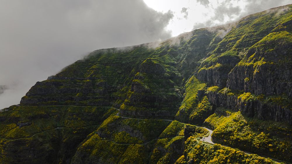 Madeira Highlights