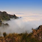 Madeira Hochland