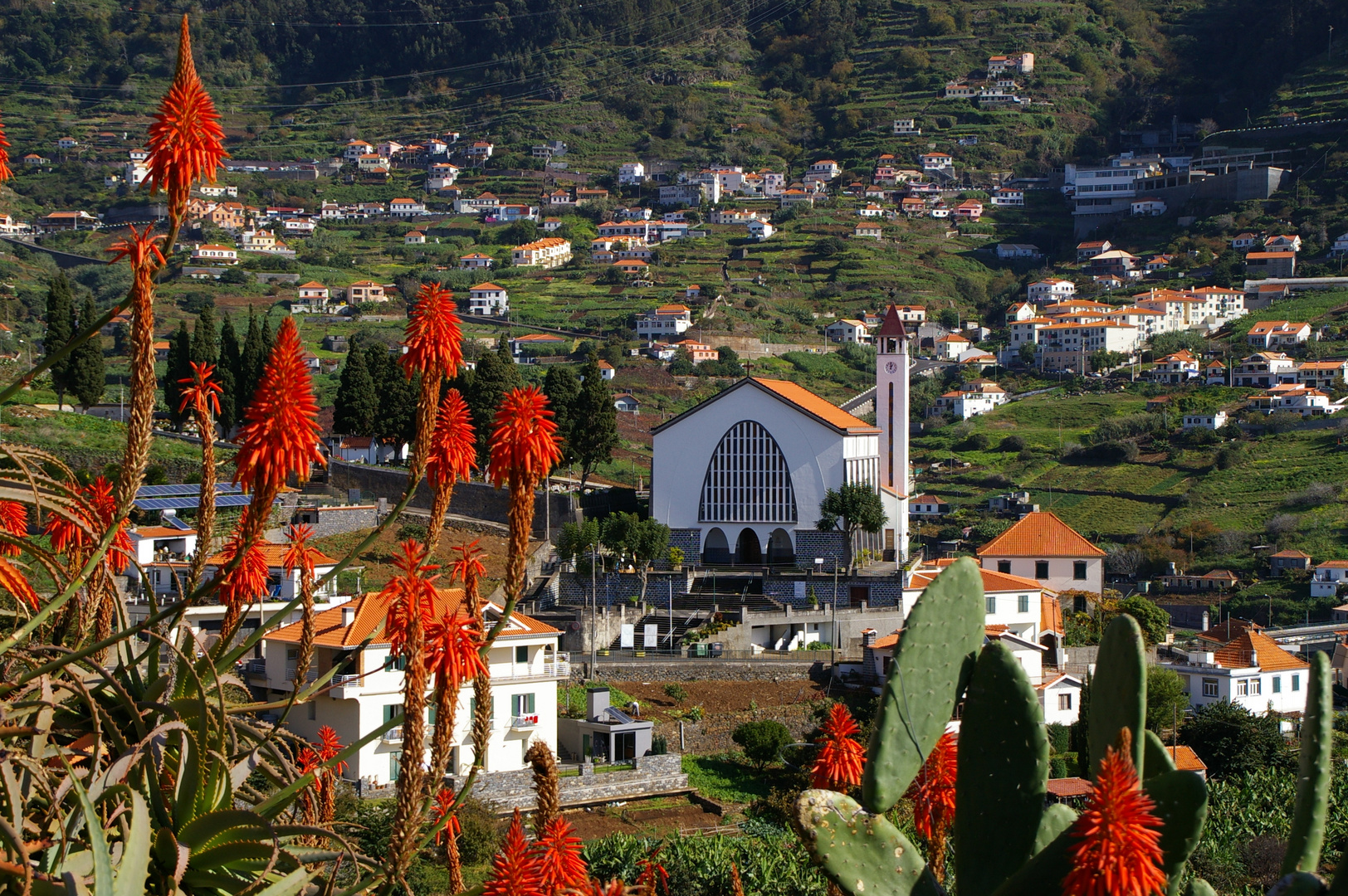 Madeira im Dezember