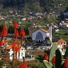 Madeira im Dezember