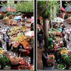 Madeira, im Mercado dos Lavradores von Funchal