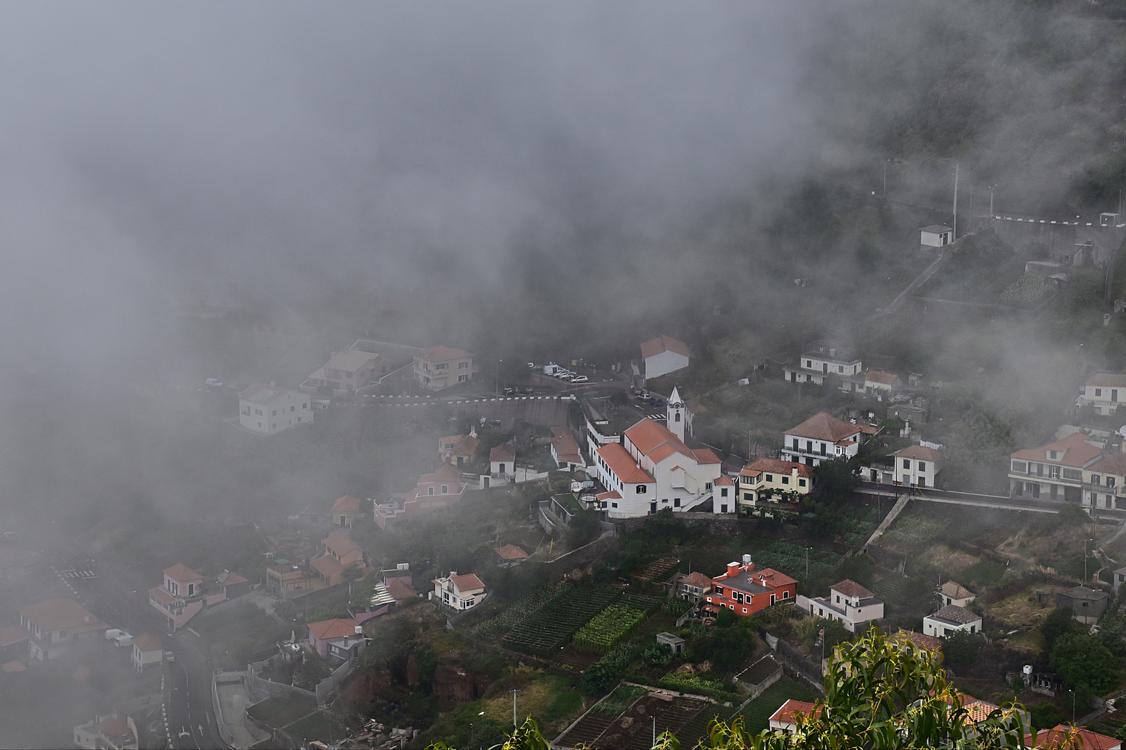 Madeira im Nebel