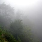 Madeira im Nebel