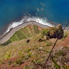 Madeira Impressionen - Gabo Giaro