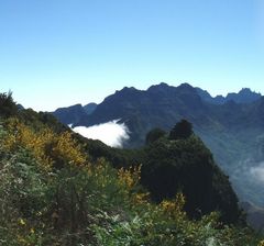 Madeira in Bestform