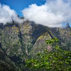 Madeira - In den Bergen