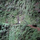 Madeira - In der Schlucht der Ribeira da Janela