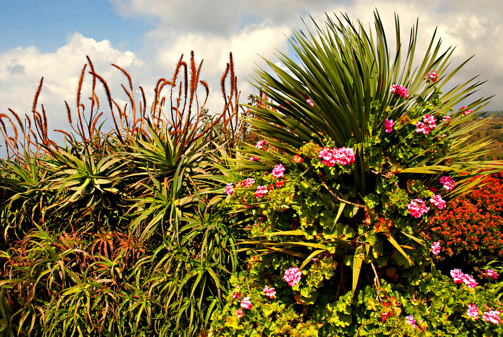 Madeira, "Insel des ewigen Frühlings"