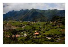 Madeira - irgendwo in den Bergen (I)