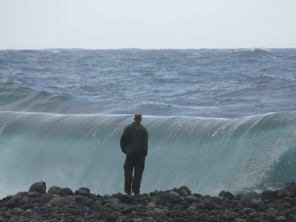 Madeira Island - Wave in Ribeira da Janela