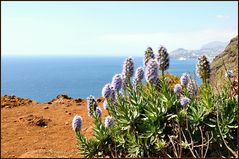 Madeira ist total ausgetrocknet, seit April 2011 kein Regen....