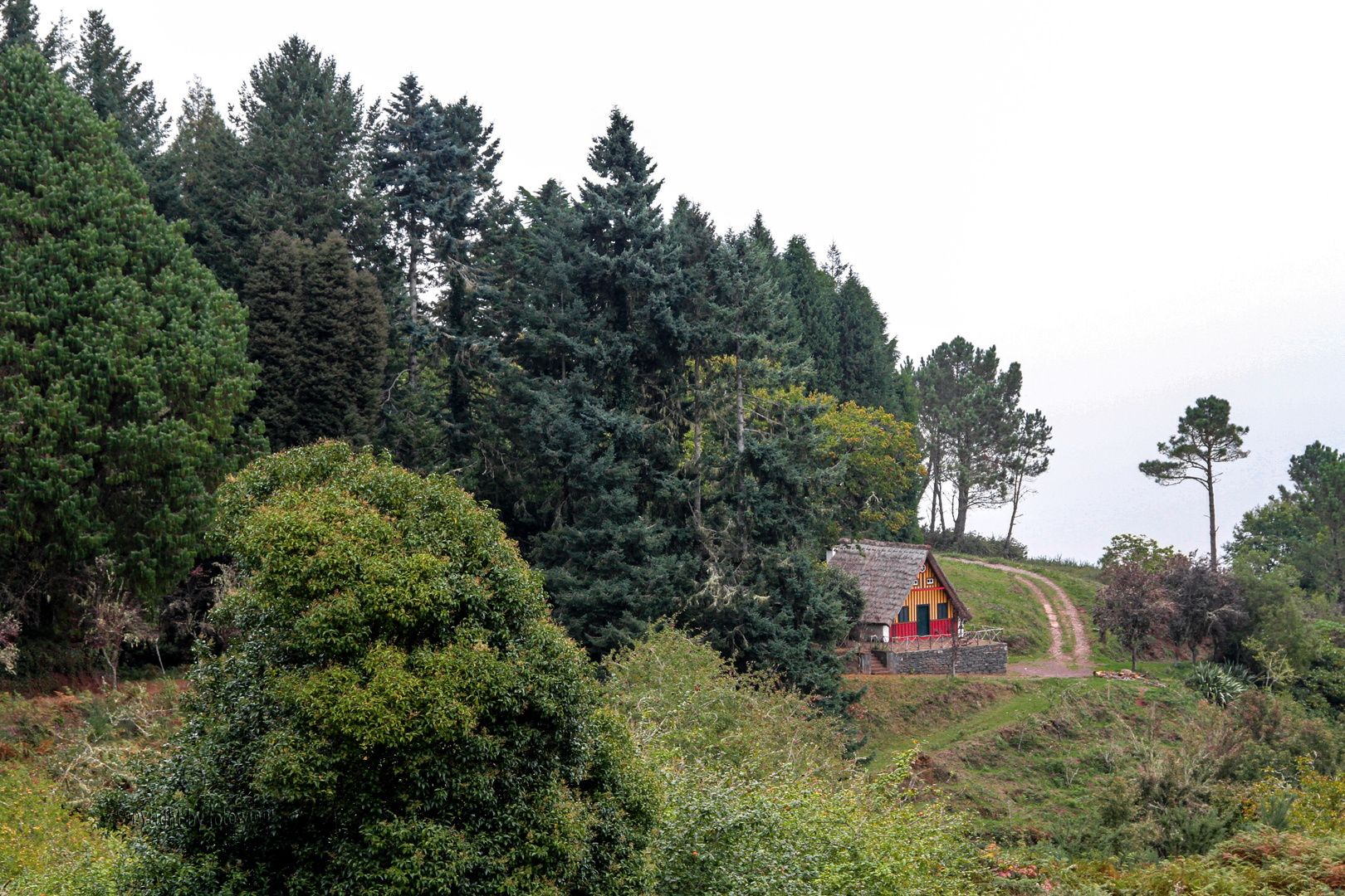 Madeira - kleines Haus am Wald