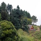 Madeira - kleines Haus am Wald