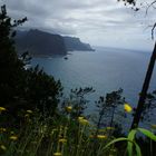 Madeira Küste bei Porta da Cruz