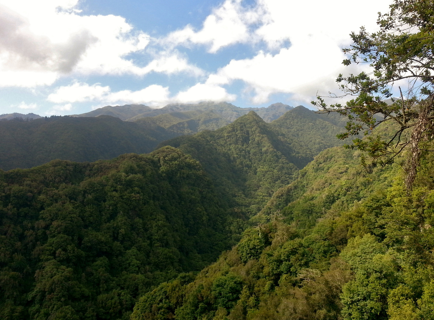 Madeira la belle