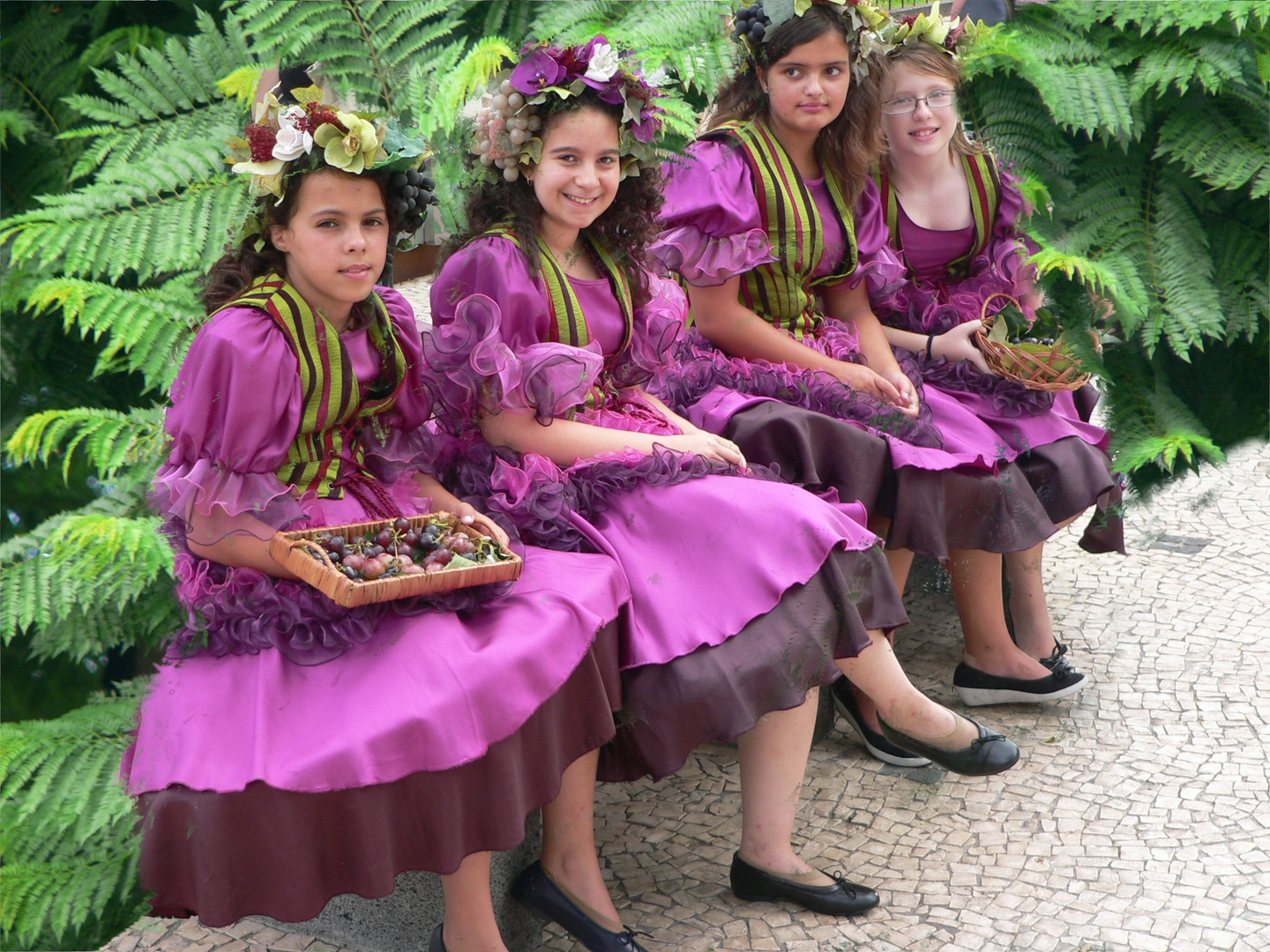 Madeira Ladys