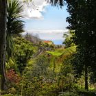Madeira landscapes