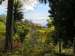 Madeira landscapes