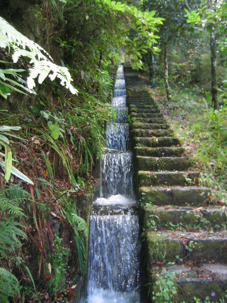 Madeira- Levada