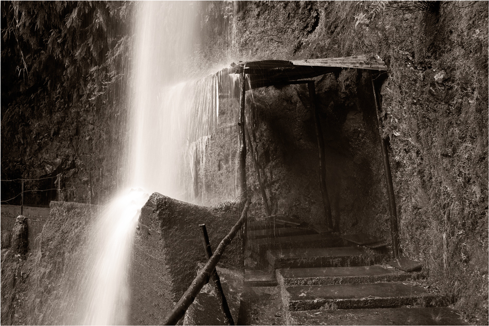 Madeira - Levada