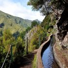 Madeira - Levada bei Rabacal