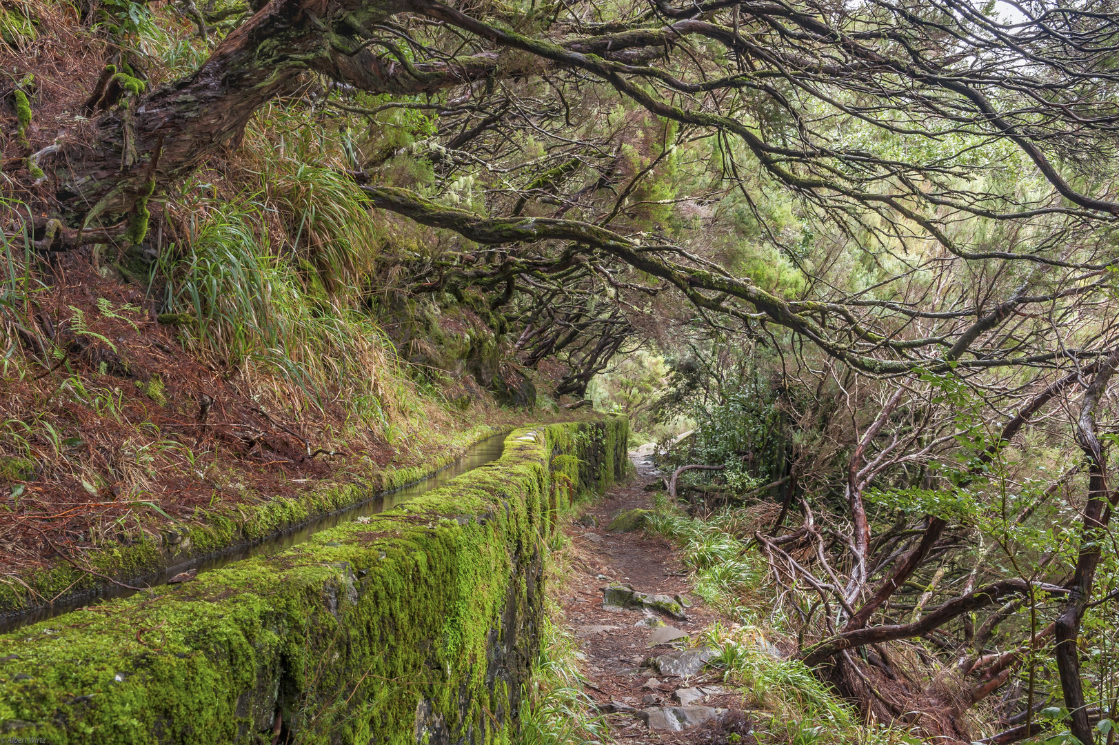 *Madeira @ Levada da Rocha Vermelha*