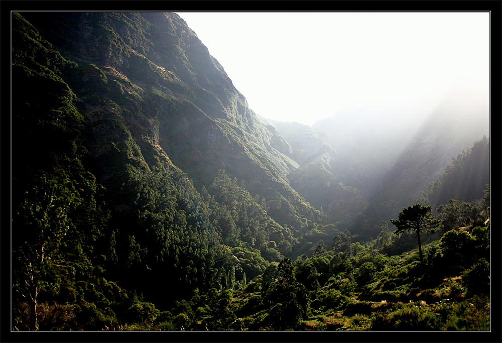 Madeira (Levada do Furado)