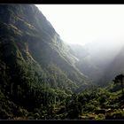 Madeira (Levada do Furado)