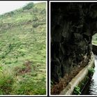 Madeira, Levada Nova bei Ponta do Sol