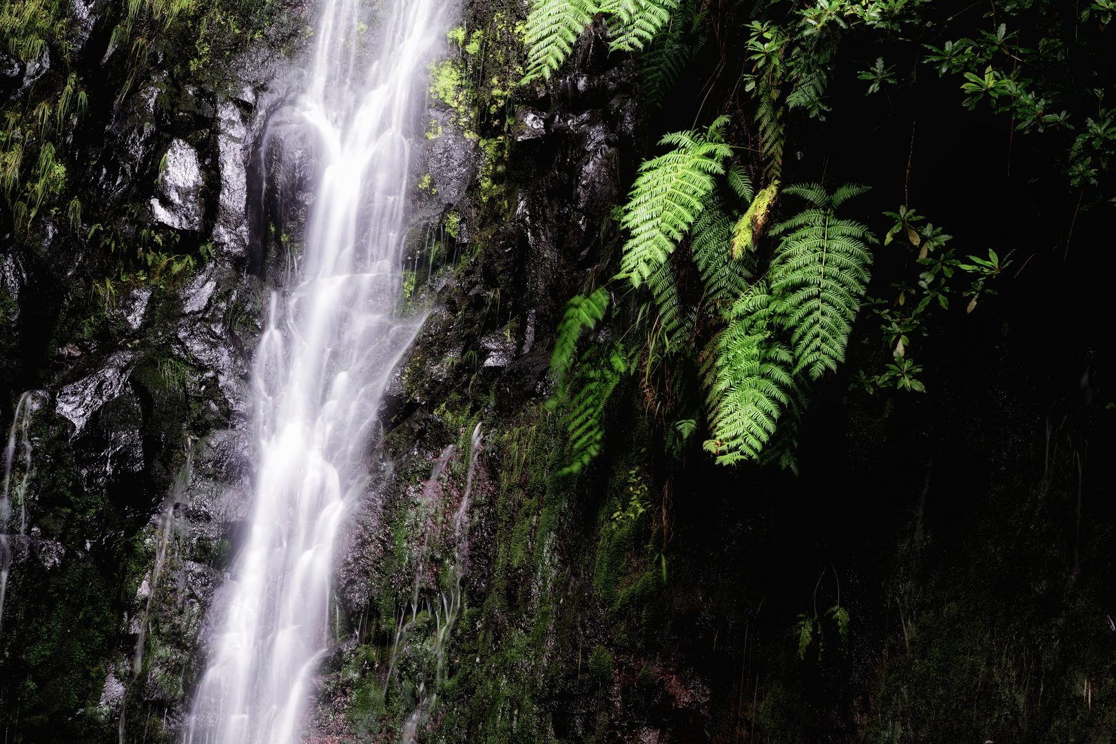 Madeira-Levada -Wanderung