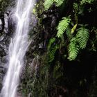 Madeira-Levada -Wanderung