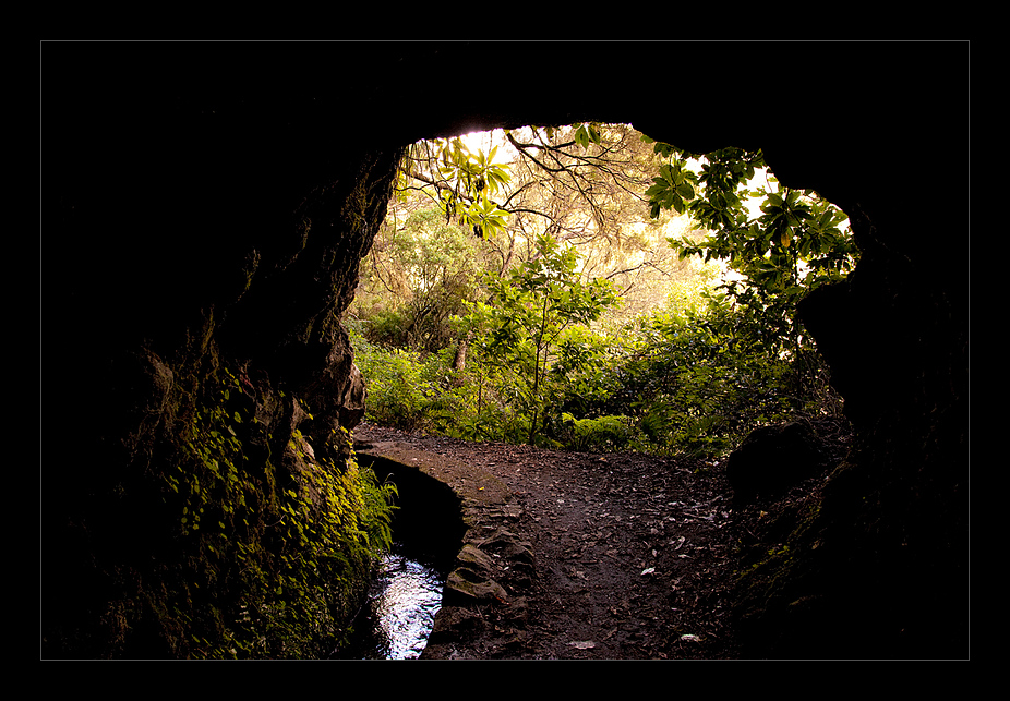 Madeira Levada zum Caldeirao Verde